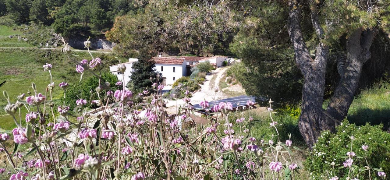 Finca Las Morenas Yunquera ภายนอก รูปภาพ