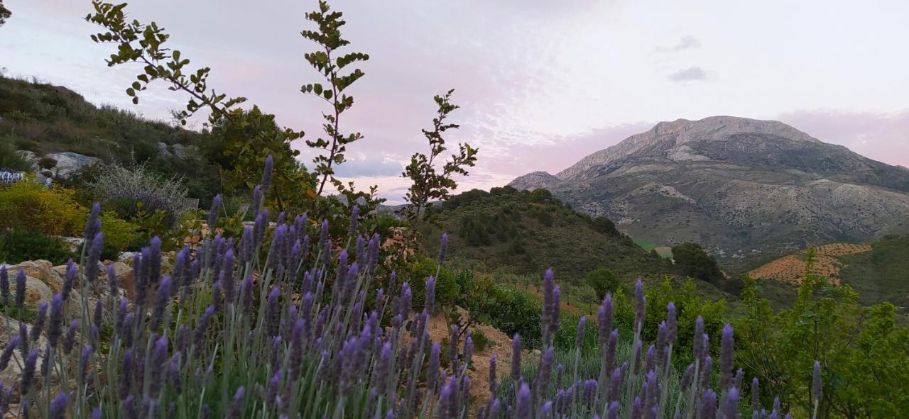 Finca Las Morenas Yunquera ภายนอก รูปภาพ