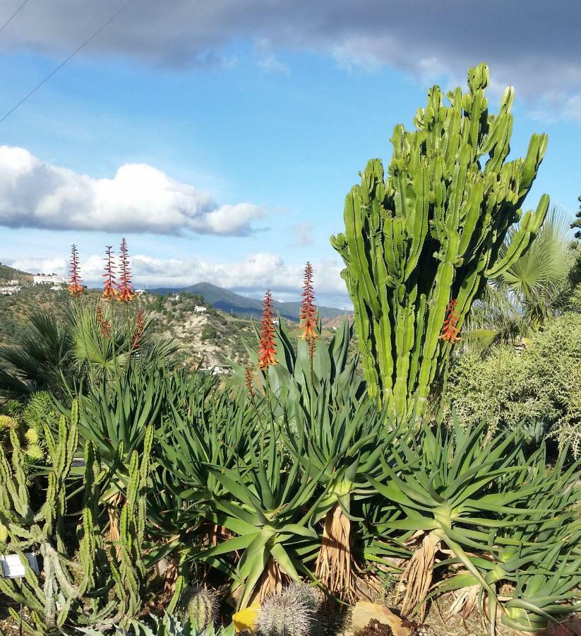 Finca Las Morenas Yunquera ภายนอก รูปภาพ