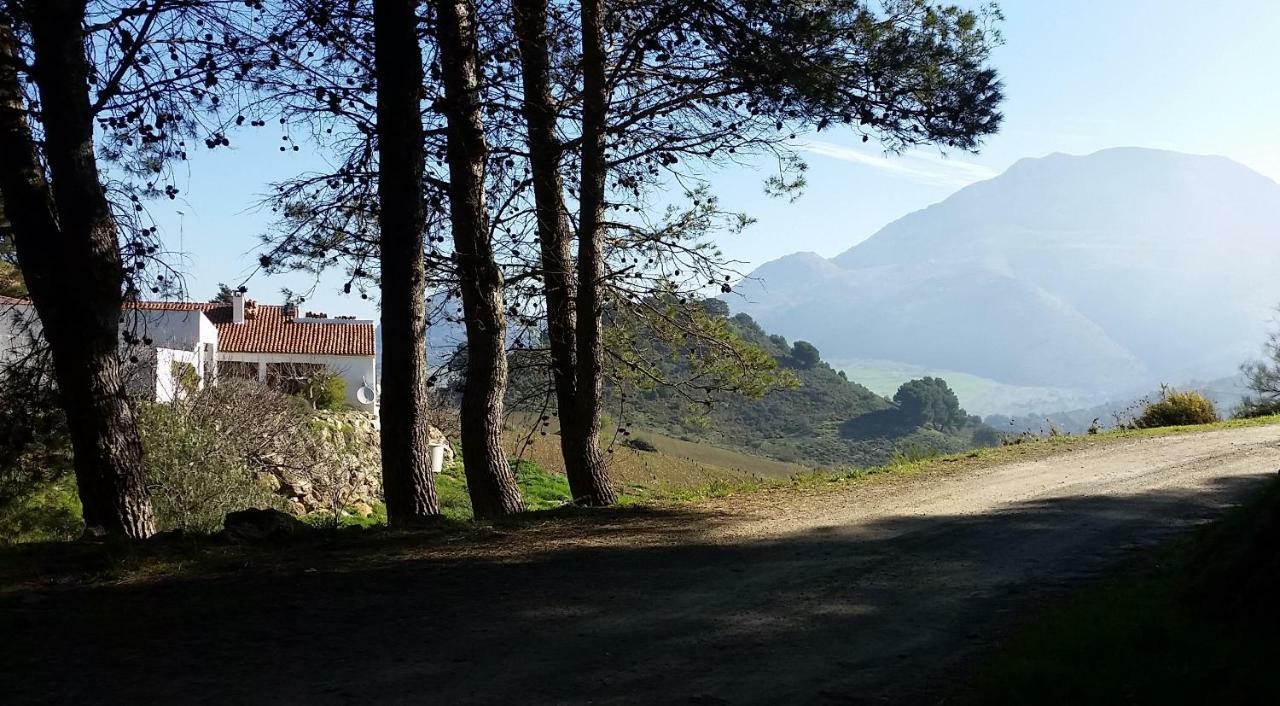 Finca Las Morenas Yunquera ภายนอก รูปภาพ