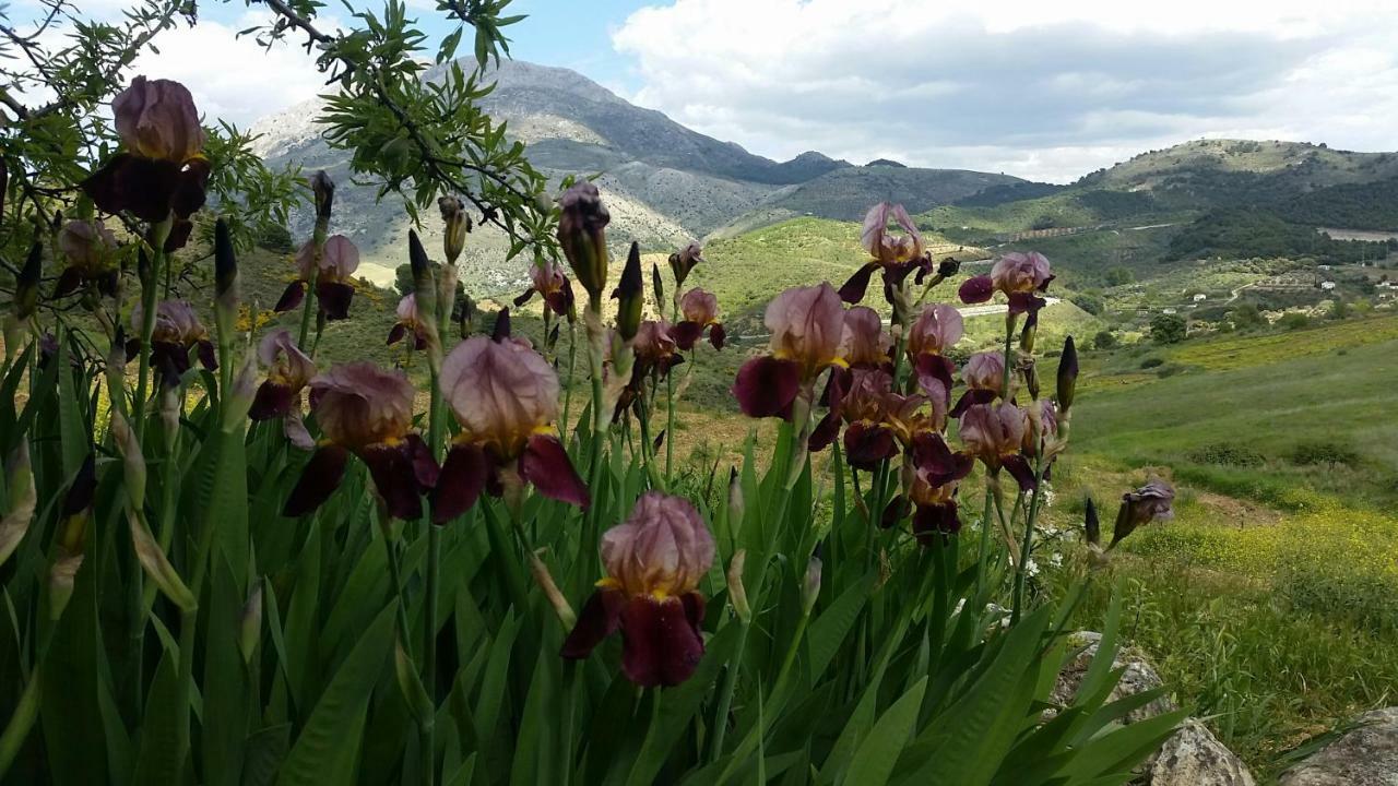 Finca Las Morenas Yunquera ภายนอก รูปภาพ